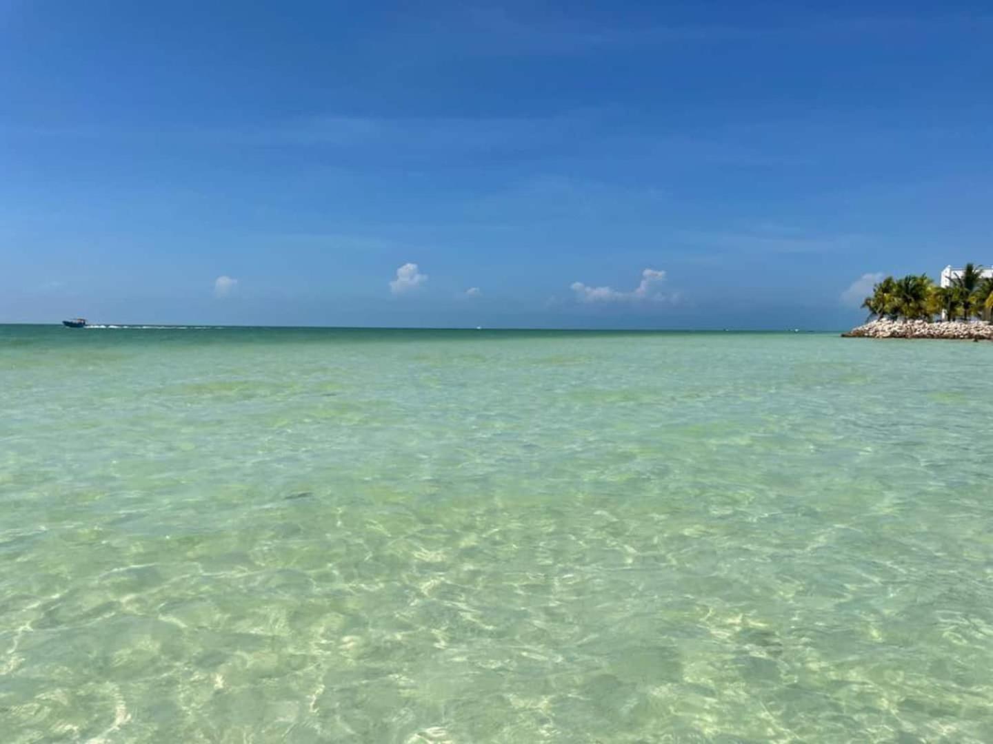 Pool View Loft Steps From The Ocean In Punta Cocos - C101 Hotel Isla Holbox Luaran gambar