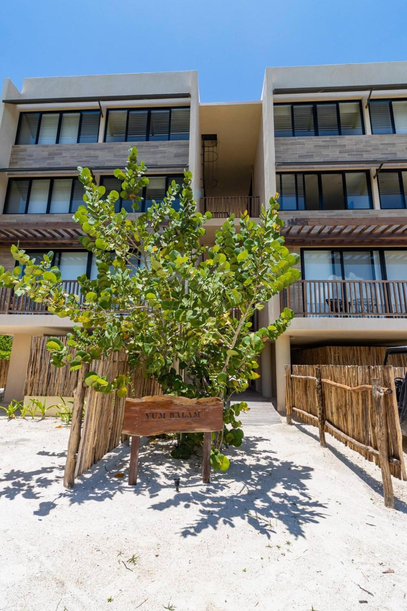 Pool View Loft Steps From The Ocean In Punta Cocos - C101 Hotel Isla Holbox Luaran gambar